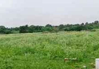 107 Acres land with readymade farm house