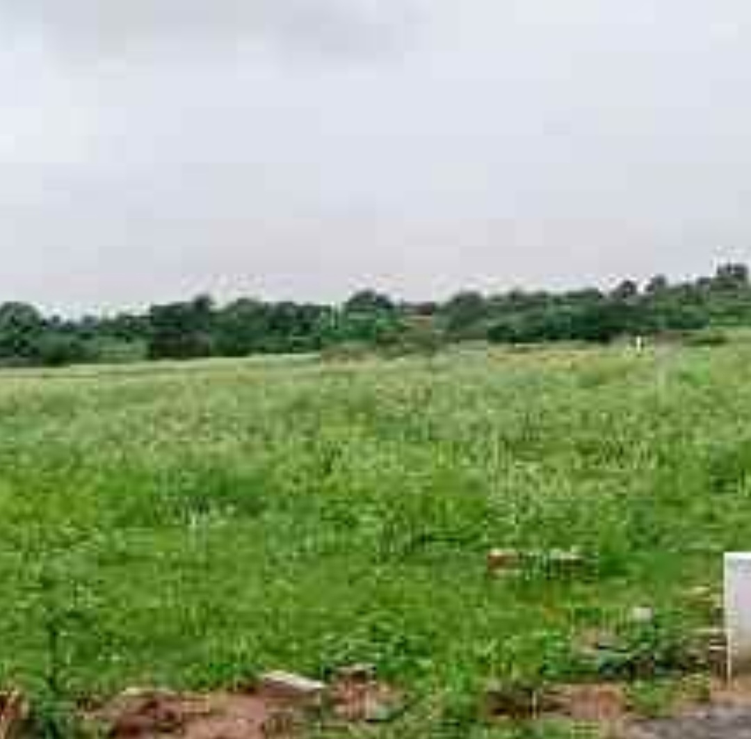 107 Acres land with readymade farm house
