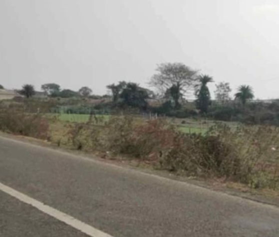 Puri Pipili bypass comercial plot sell