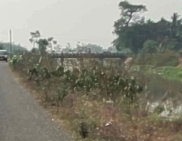 Puri Pipili bypass comercial plot sell