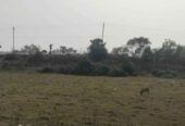 Puri Pipili bypass comercial plot sell