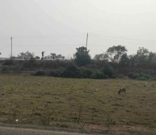 Puri Pipili bypass comercial plot sell