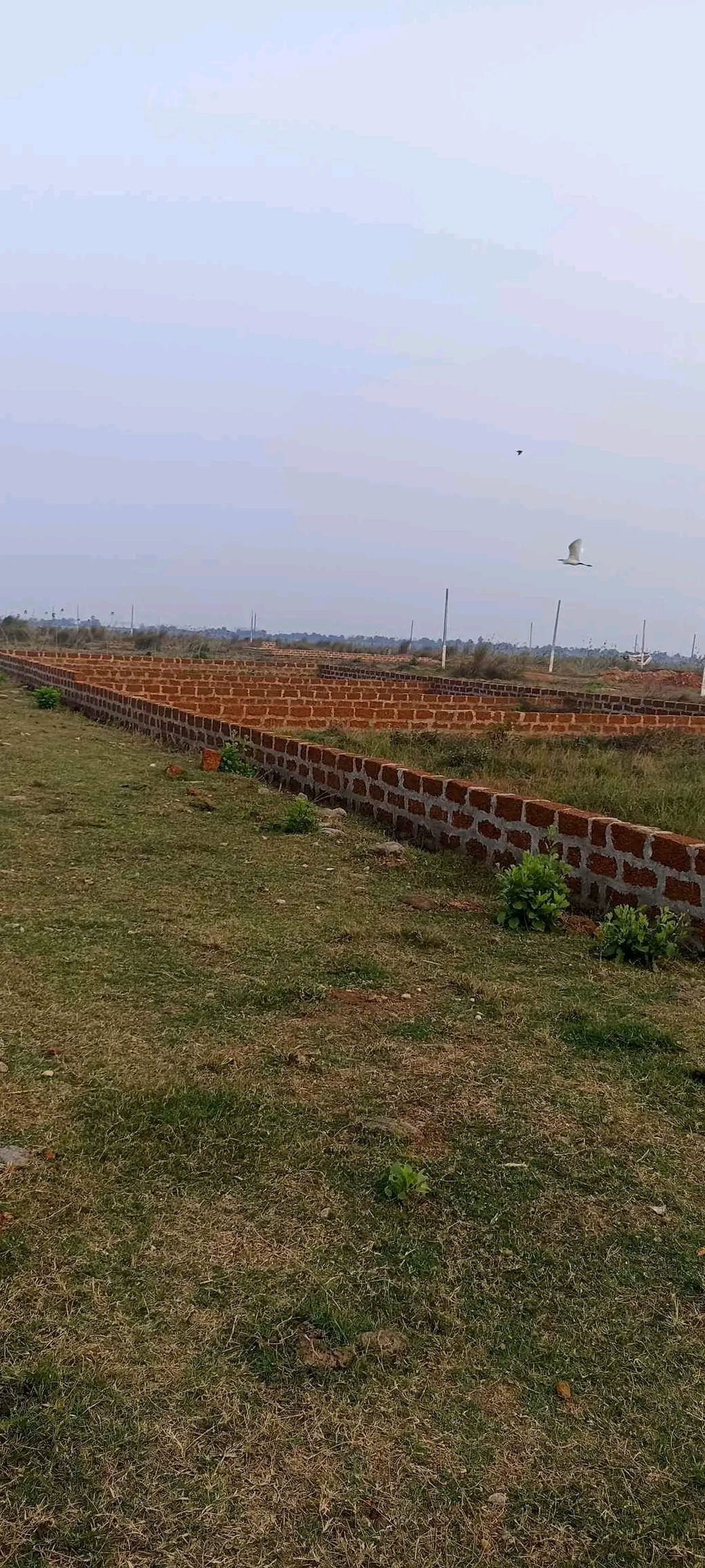 Plot for sale near Aiims Hospital
