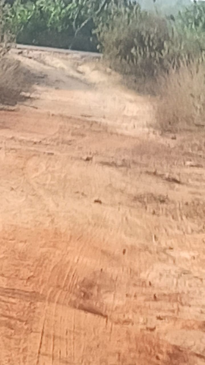 Plot for sale nuagaan