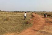 Sundarpada