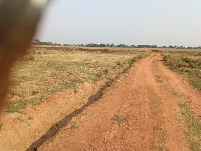 Sundarpada