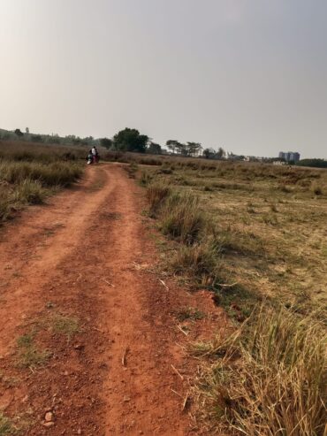 Sundarpada