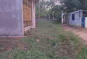 Residential plot for sale in Khandagiri Aiginia