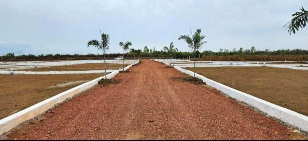 Mega project in Trisulia, Godi sahi