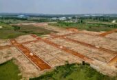 Project name- Infogreen City(Vasudev Vihar)